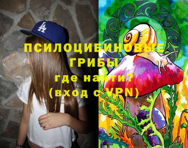 соль ск Лабытнанги
