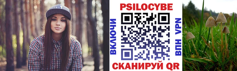 Псилоцибиновые грибы Psilocybe  MEGA ТОР  Курчатов 
