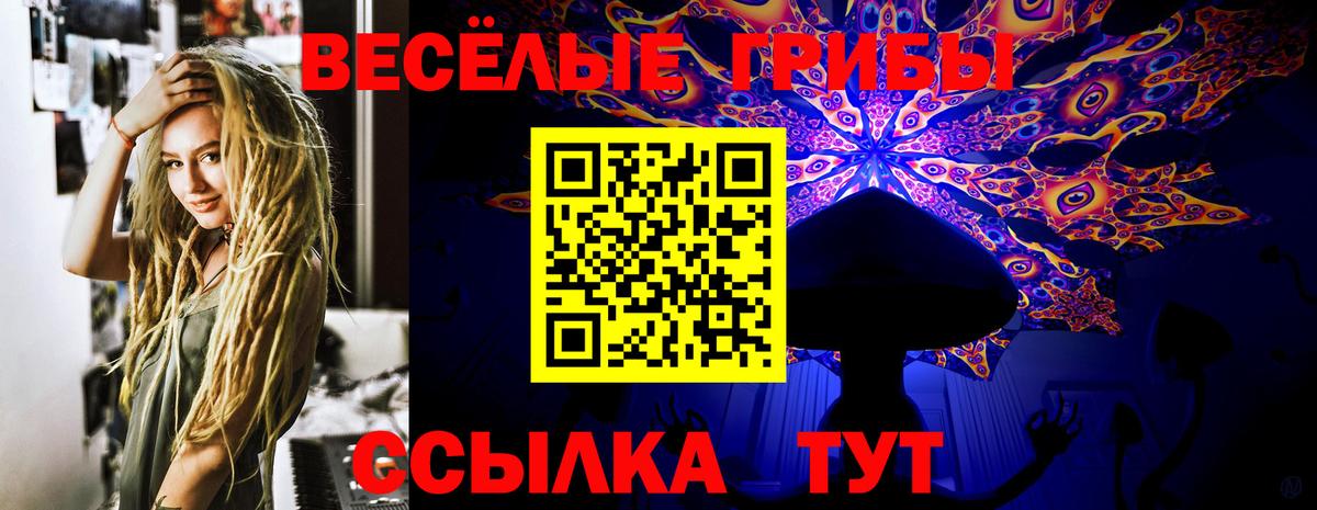 Галлюциногенные грибы Magic Shrooms  Вход с VPN  где можно купить   Псилоцибиновые грибы Magic Shrooms  Курчатов 